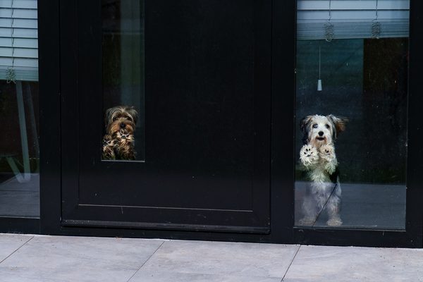 Foto von Alexander Hellen