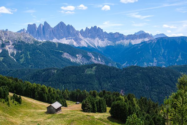 Foto von Alexander Hellen