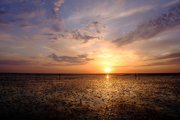 Foto von Alexander Hellen